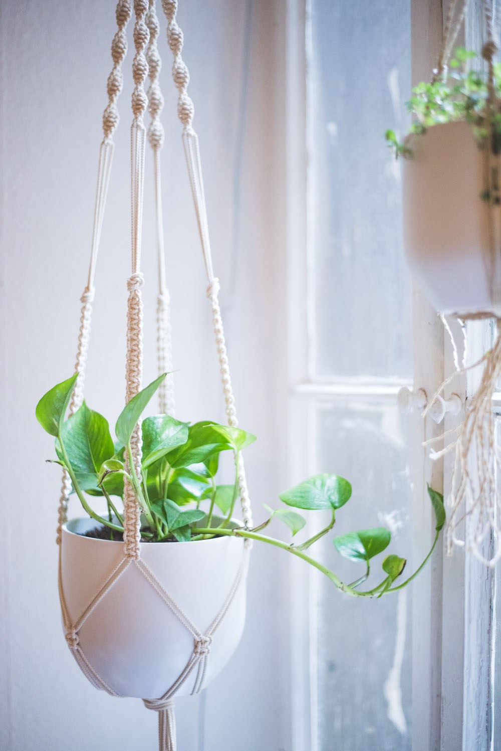 Macrame Plant Hanger Tutorial and other amazing macrame projects!